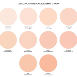Caron Poudre Matifiante|- Poudre Libre Transparente