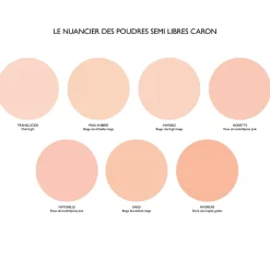 Caron Poudre Matifiante|- Poudre Semi-libre Classique