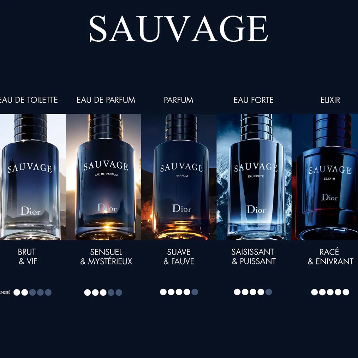 Dior Eau De Parfum|- Sauvage Elixir - Parfum