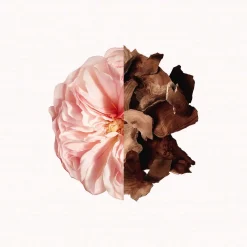 Givenchy Eau De Parfum|- Irresistible - Eau de Parfum