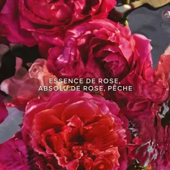 Guerlain Recharges De Parfums|Eau De Parfum|- Aqua Allegoria Forte Rosa Rossa - Eau de Parfum Recharge 200 ml