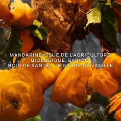 Guerlain Pour Elle|- Aqua Allegoria Mandarine Basilic Forte - Coffret Eau de Parfum
