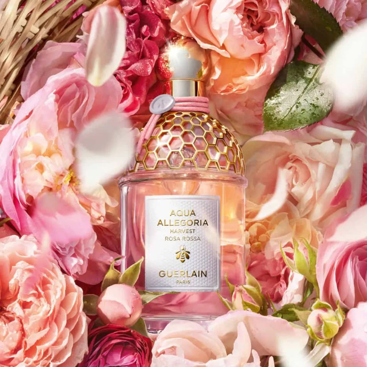 Guerlain Eau De Toilette|Eau De Parfum|- Aqua Allegoria Harvest Rosa Rossa - Eau de Toilette Vaporisateur 125 ml