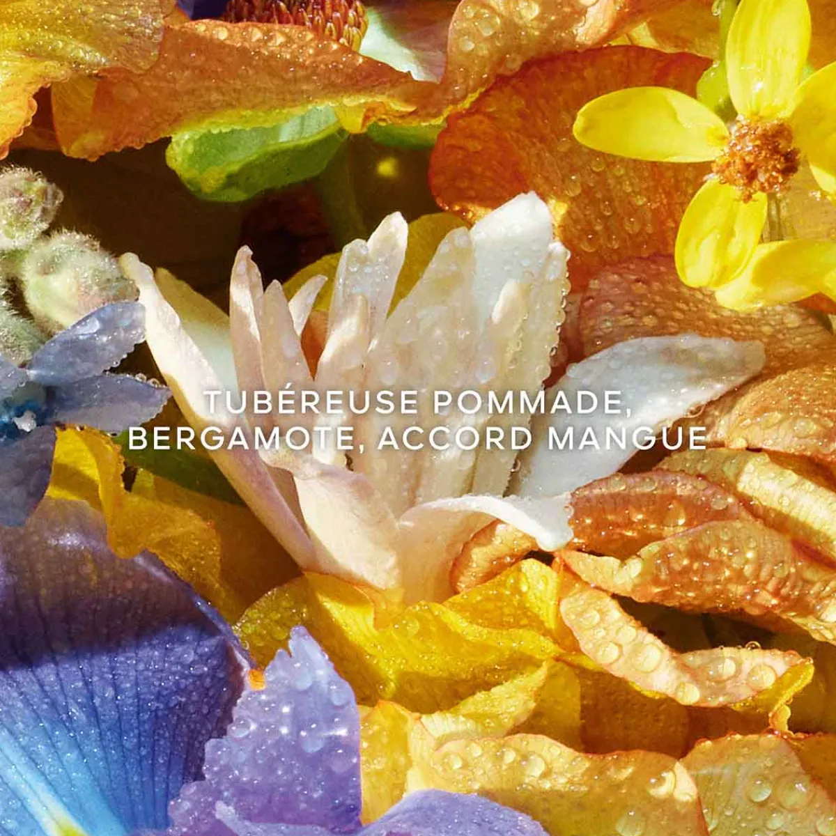 Guerlain Recharges De Parfums|- Aqua Allegoria Florabloom - Eau de Toilette Recharge 200 ml