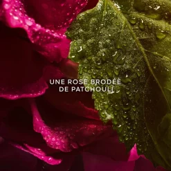 Guerlain Eau De Parfum|- La Petite Robe Noire - Eau de Parfum Absolue