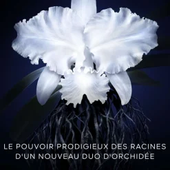 Guerlain Soin Anti-Âge|Recharges De Soin Visage|- Orchidée Impériale - Recharge Crème 50 ml
