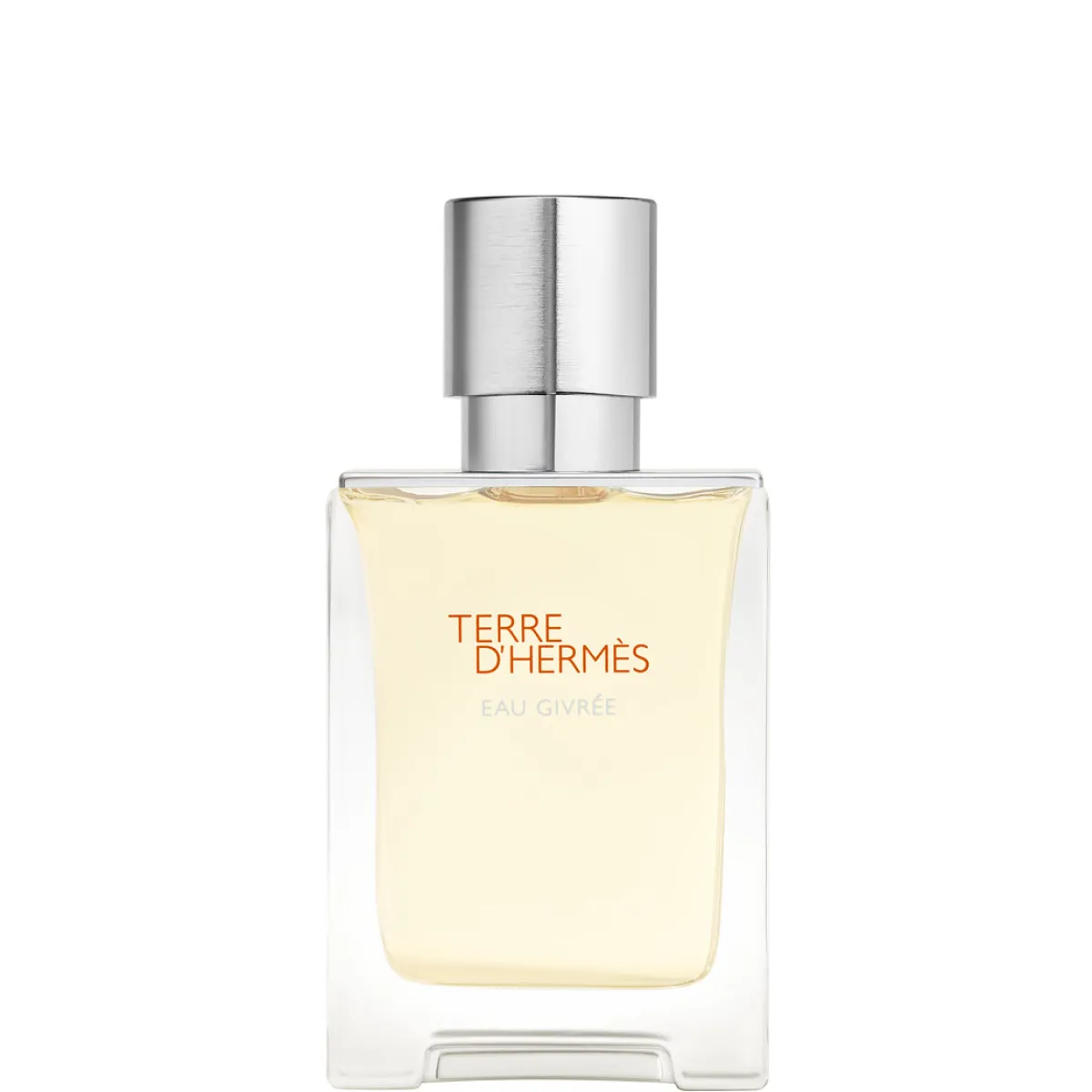 Hermès Rechargeables|Eau De Parfum|- Terre d' Eau Givrée - Eau de Parfum