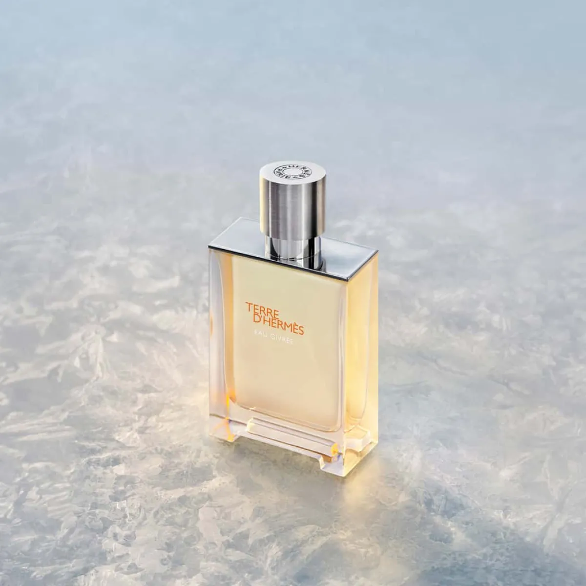 Hermès Rechargeables|Eau De Parfum|- Terre d' Eau Givrée - Eau de Parfum