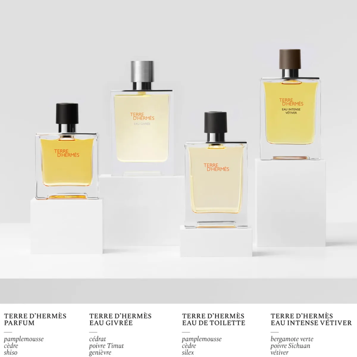 Hermès Rechargeables|Eau De Parfum|- Terre d' Eau Givrée - Eau de Parfum