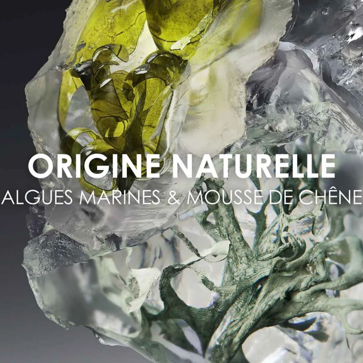 Issey Miyake Parfums Vegan|Rechargeables|- Le Sel D'Issey - Eau de Toilette