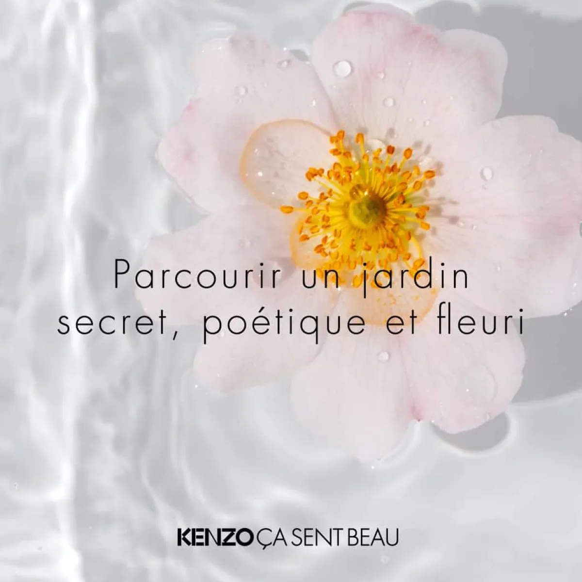 Kenzo Eau De Toilette|- Ca sent Beau - Eau de Toilette Vaporisateur 50 ml