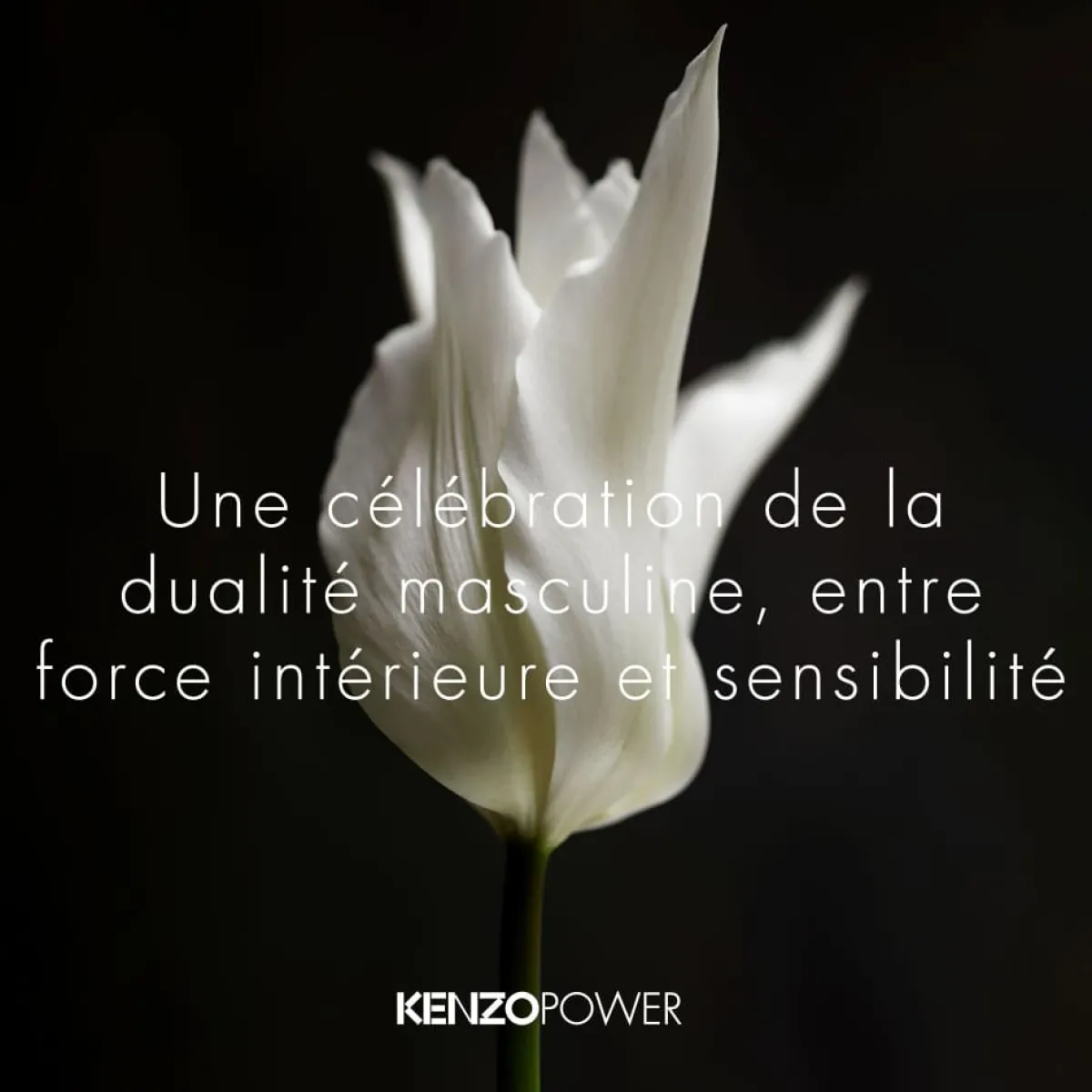 Kenzo Eau De Toilette|- Power - Eau de Toilette Vaporisateur 75 ml