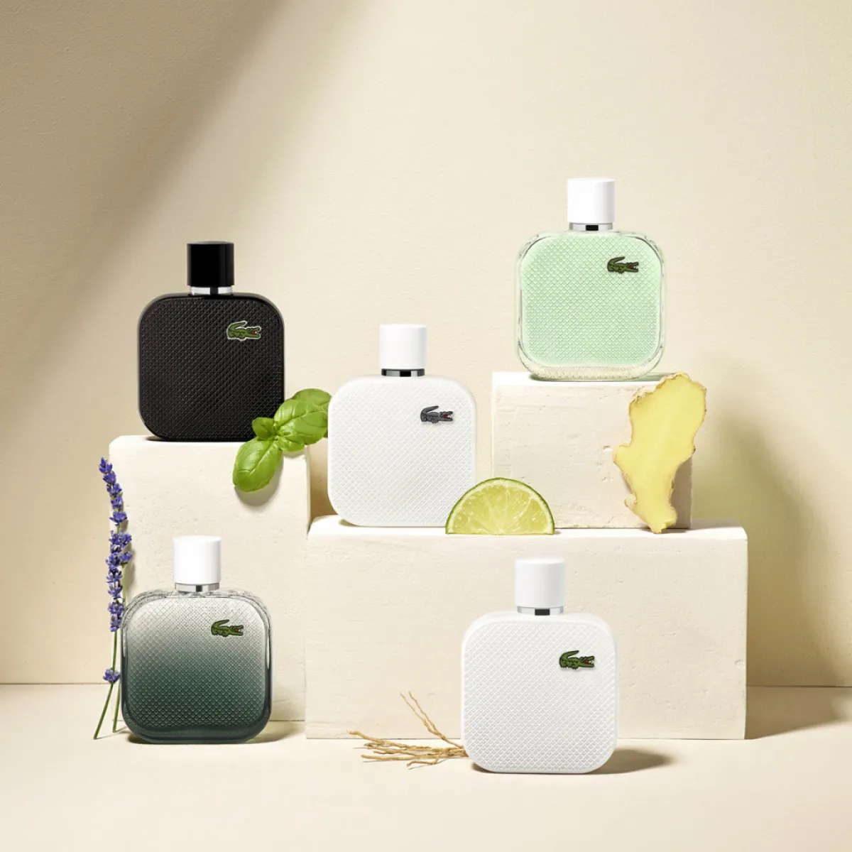 Lacoste Eau De Toilette|- Eau de L.12.12 Blanc Eau Intense