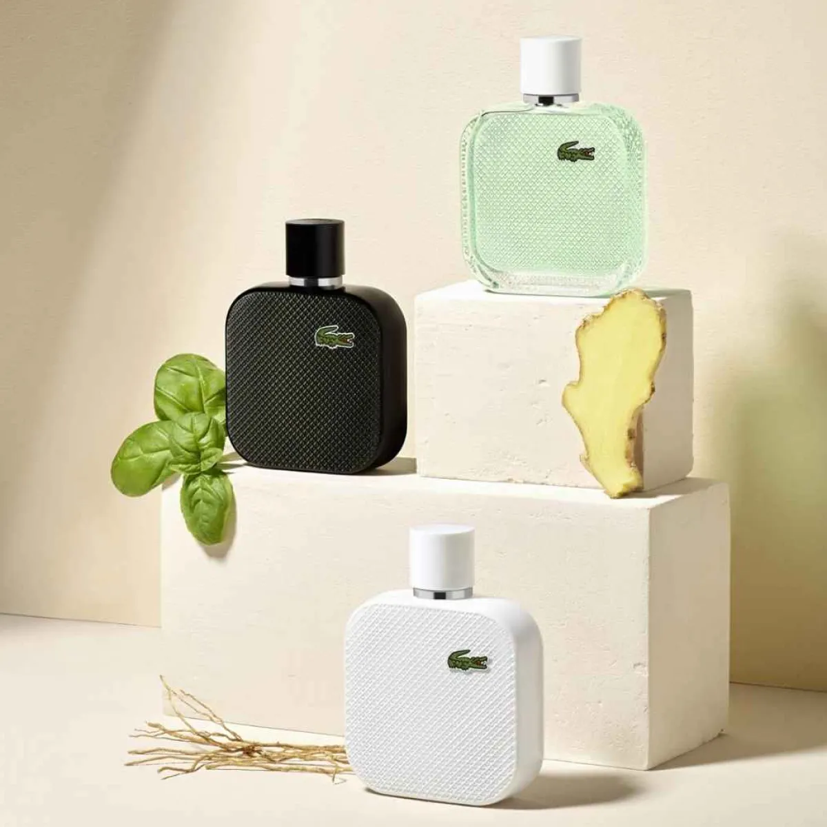 Lacoste Eau De Toilette|- Eau de L.12.12 Noir - Eau de Toilette