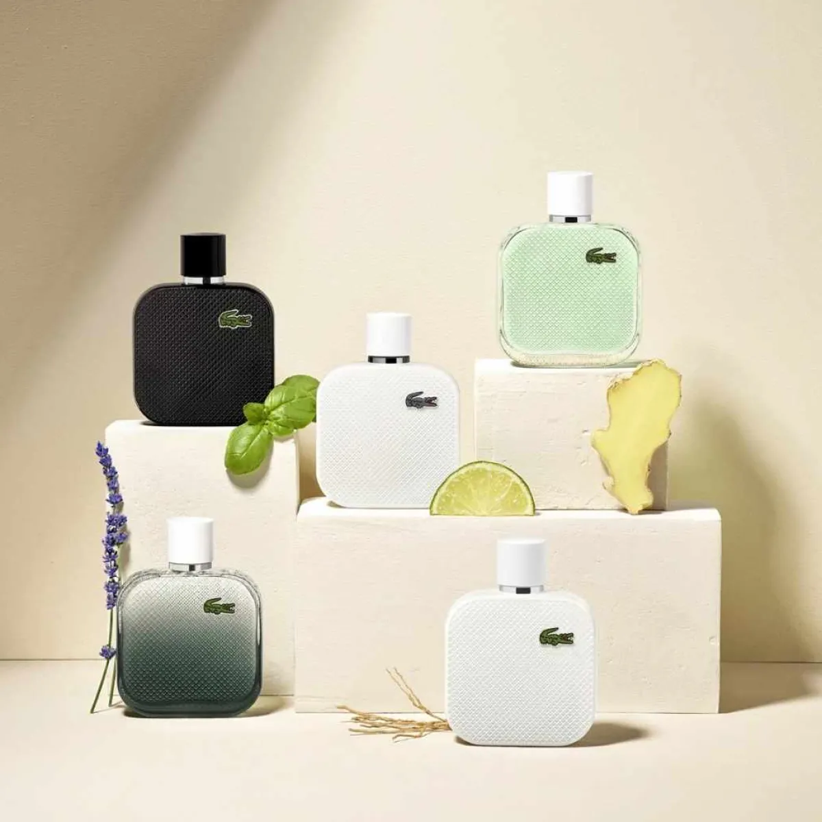 Lacoste Eau De Toilette|- Eau de L.12.12 Noir - Eau de Toilette