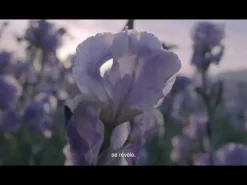 Lancôme Eau De Parfum|- La Vie est Belle Iris Absolu - Eau de Parfum