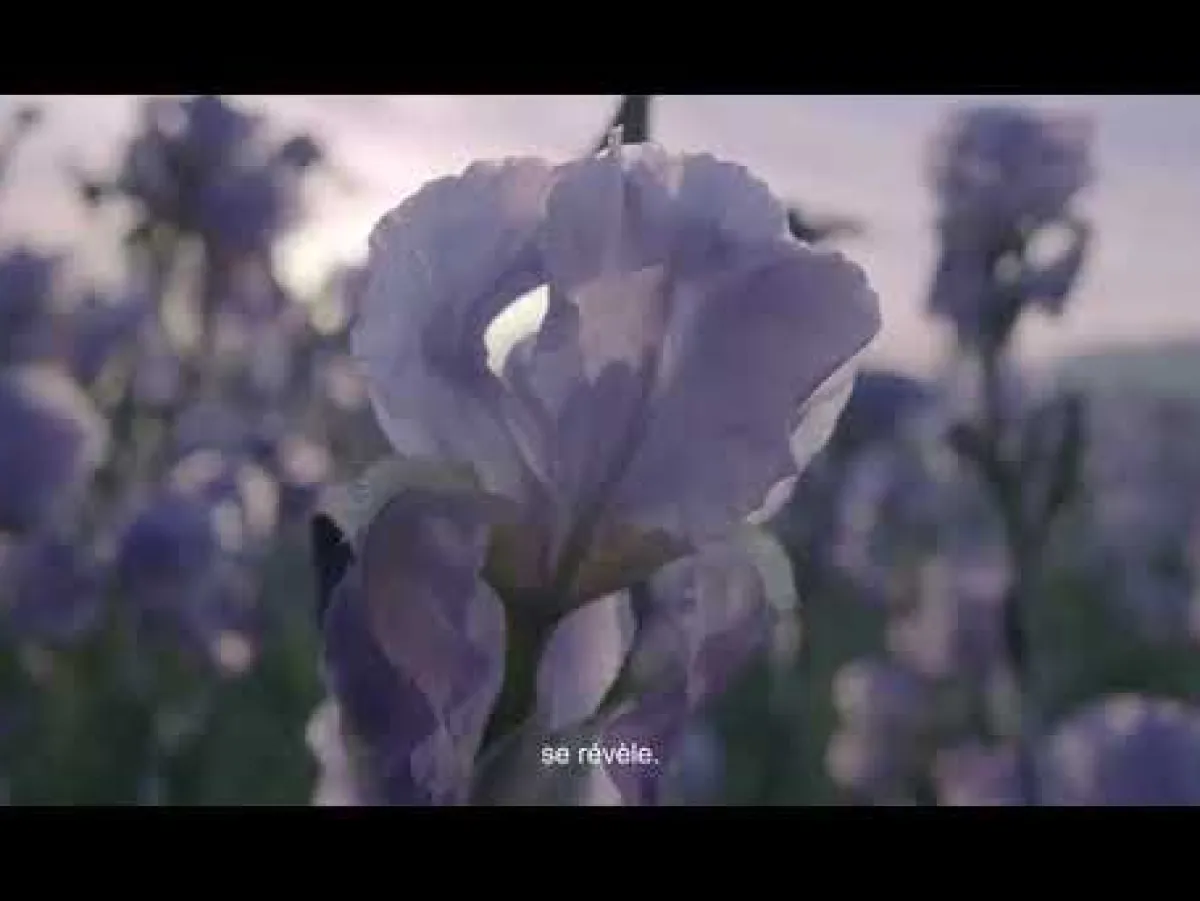 Lancôme Eau De Parfum|- La Vie est Belle Iris Absolu - Eau de Parfum