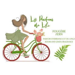 Les Parfums de Lili Parfum D’Intérieur|- Parfums D’interieur et Brumes de Linge Fougère 250 ml