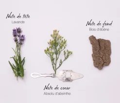Mauboussin Eau De Parfum|- pour Lui - Eau de Parfum