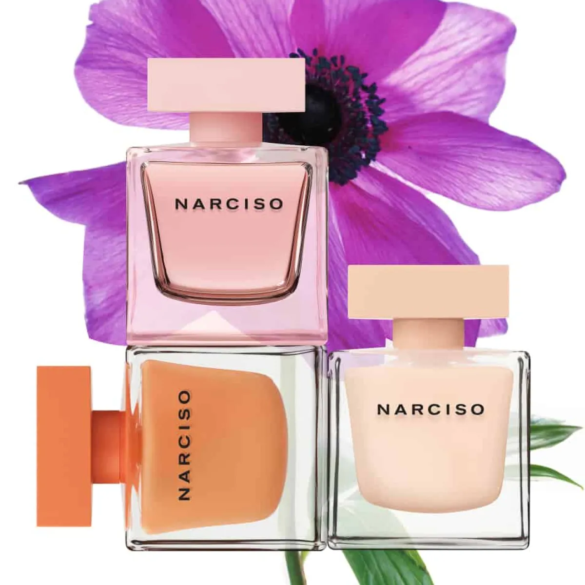 Narciso Rodriguez Pour Elle|Eau De Parfum|- Coffret Narciso Poudrée - EDP 50ml + Lait pour le corps 50ml
