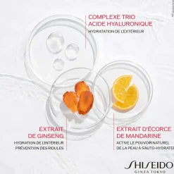 Shiseido Hydratant Visage|Recharges De Soin Visage|- Essential Energy 24H - Recharge Crème Jour Hydratation - 50 ml
