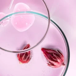Shiseido Soin Anti-Âge|- ULTIMUNE - Concentré Activateur Energisant
