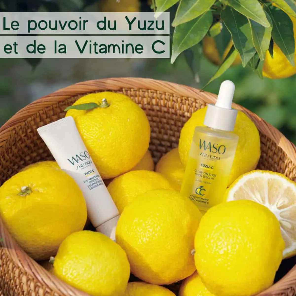 Shiseido Soin Éclat|Soin Spécifique|- Waso - Sérum Shot d'Eclat 28 ml
